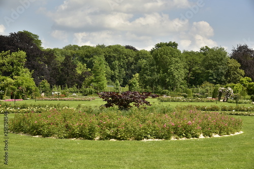 Parterres de roses circulaire à la grande roseraie du domaine provincial de Vrijbroekpark à Malines