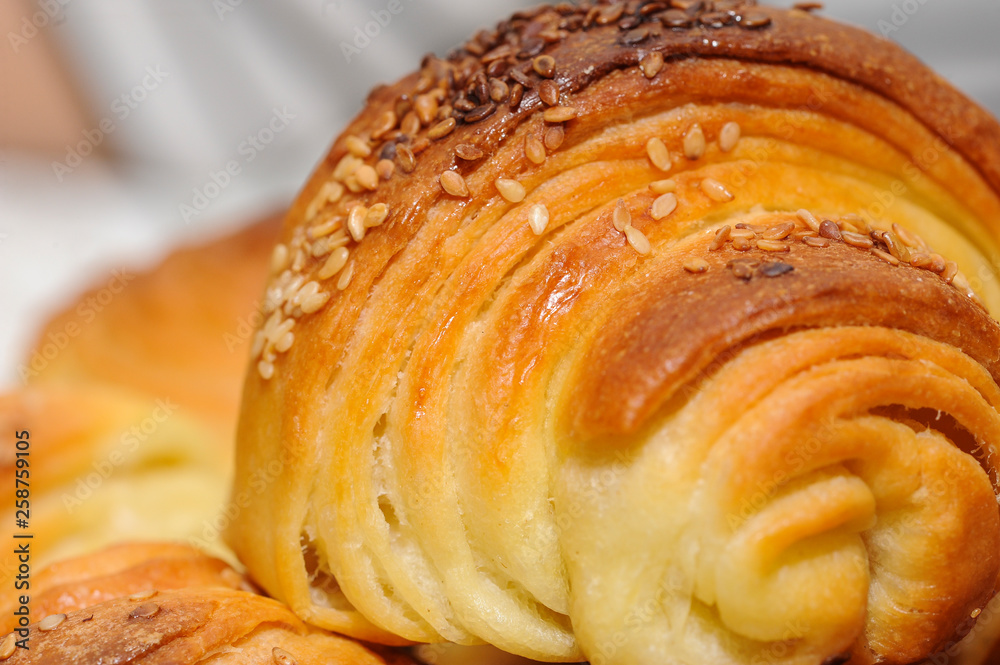 Fototapeta premium Fresh delicious rolls with sesame in dish. Macro shot of fresh rolls with sesame. Food, copy space