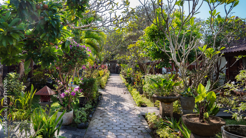 Tiled path in a lush garden in Bali