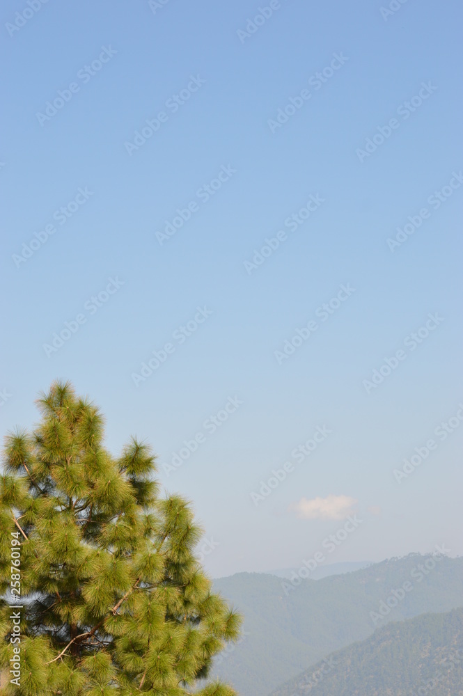 i clicked that photo when i was on my THE hemkunt sahib tour.and this place is nearby dhunnaghat from reetha sahib. i clicked that photo when i was on my THE hemkunt sahib tour.and this place is nearby dhunnaghat from reetha sahib.