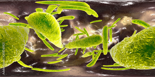360-degree spherical panorama of bacteria Mycobacterium tuberculosis, and other mycobacteria, 3D illustration photo