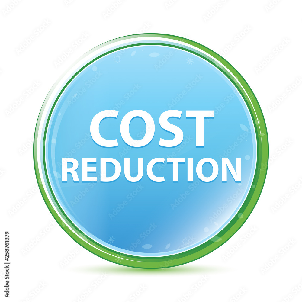 Cost Reduction natural aqua cyan blue round button Cost Reduction natural aqua cyan blue round button