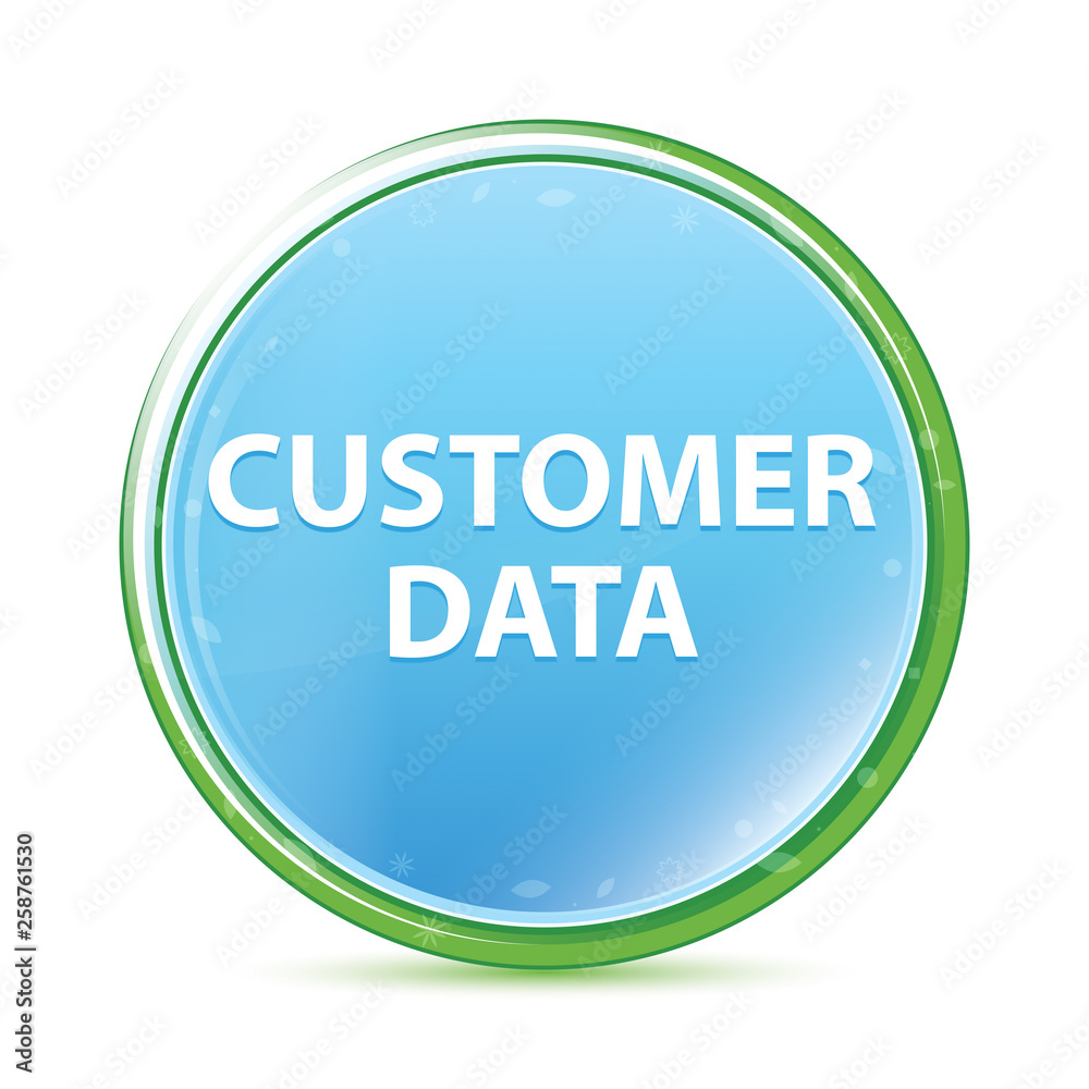 Customer Data natural aqua cyan blue round button Customer Data natural aqua cyan blue round button