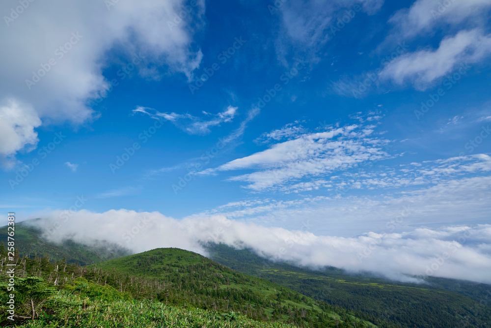 Naklejka premium 雲海の山々