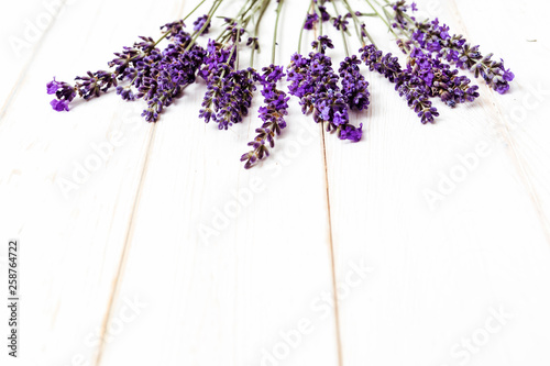 Fototapeta Naklejka Na Ścianę i Meble -  Lavender flowers