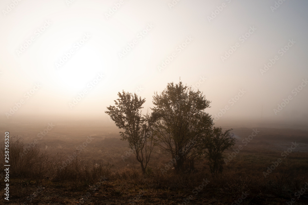 Early morning in the field with autumn fog and drops of water in the air. Tints of brown. Nothing could be seeing far away. Beautiful mistery landscape