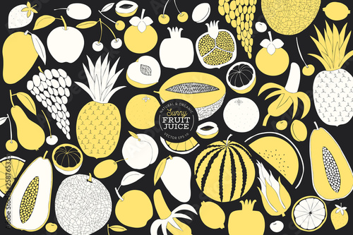 Scandinavian hand drawn fruit design template. Monochrome graphic. Fruits background. Linocut style. Healthy food. Vector illustration