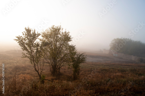 Early morning in the field with autumn fog and drops of water in the air. Tints of brown. Nothing could be seeing far away. Beautiful mistery landscape