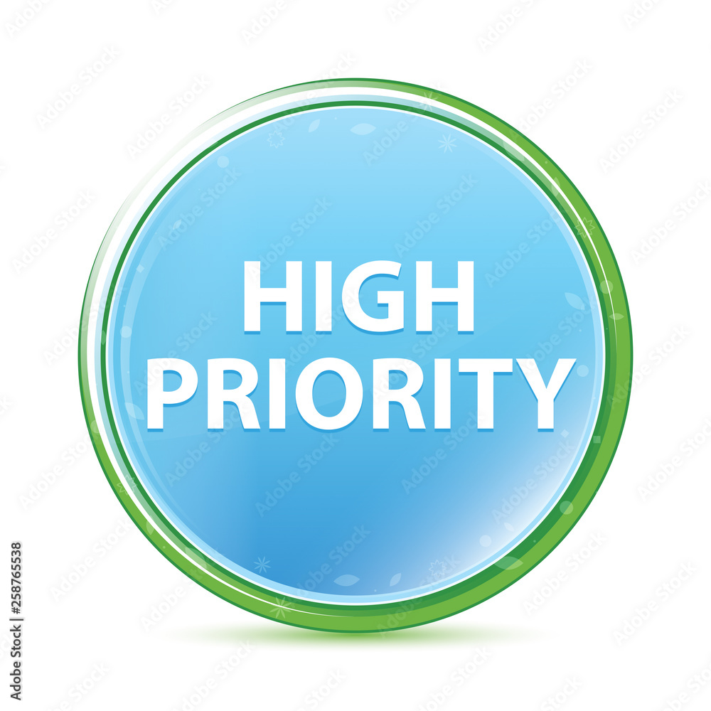 High Priority natural aqua cyan blue round button High Priority natural aqua cyan blue round button