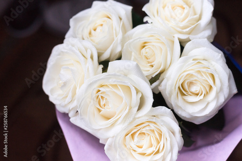 White roses on a black background with water drops and pink petals.