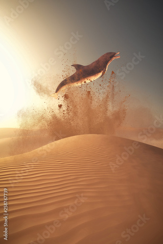 Dolphin jump desert