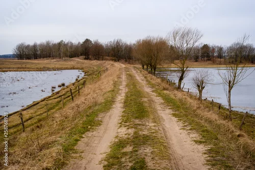 Obraz Rozlewiska Narwi i Biebrzy. Wiosna na Podlasiu