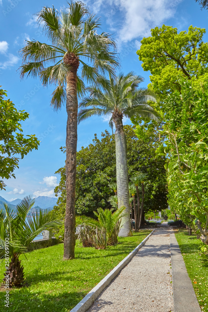 Nice view of a park on Lake Como