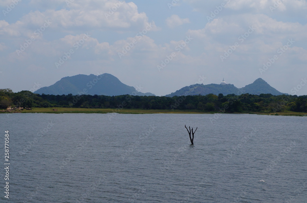 Obraz premium lake in mountains