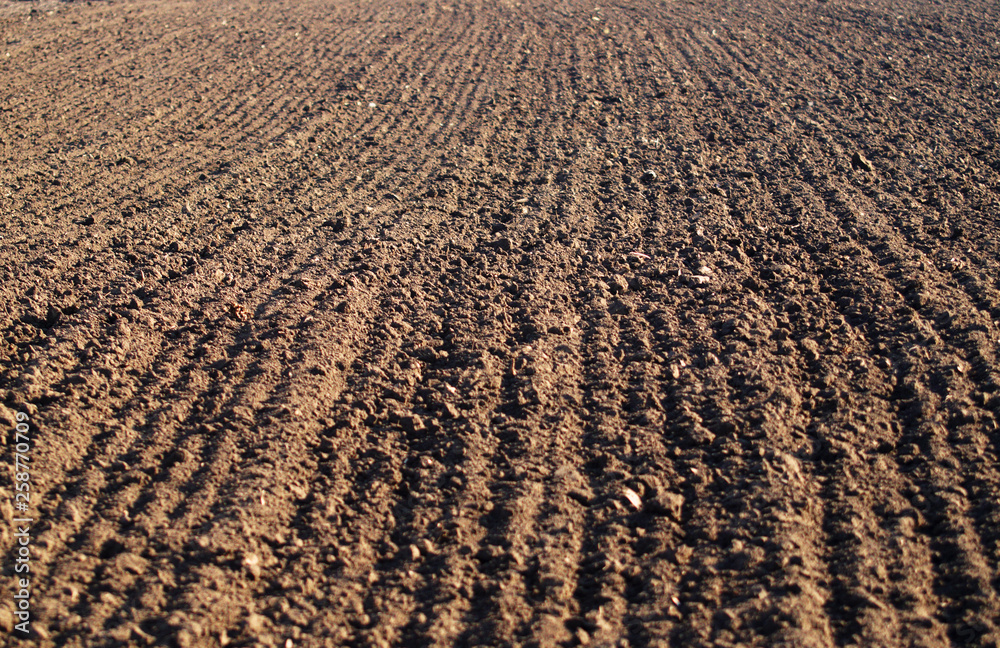 Ploughed field in spring prepared for sowing.