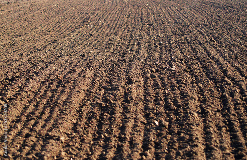 Obraz na płótnie Ploughed field in spring prepared for sowing. w salonie