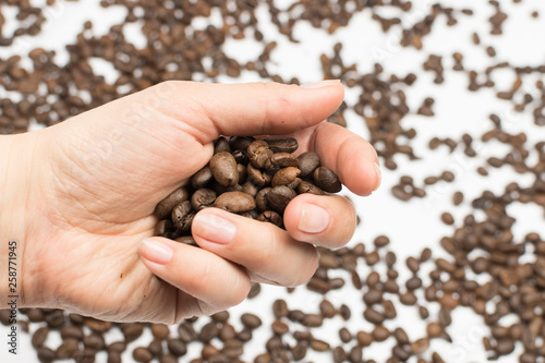 Coffee beans lie in the palm of your hand