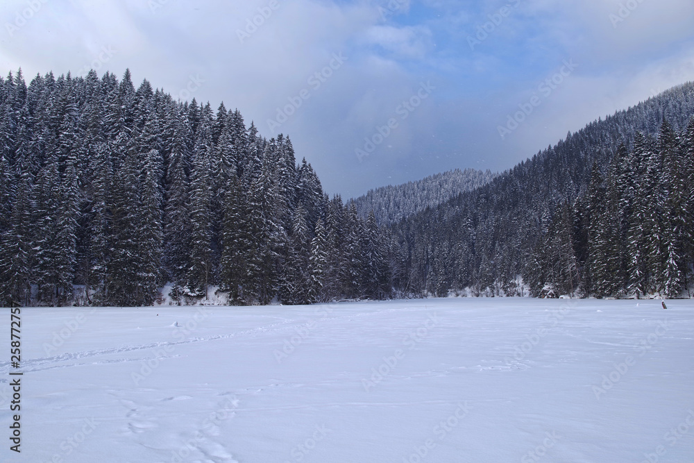 Winter landscape of frozen lake in the forest