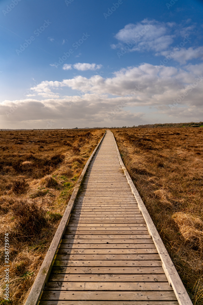 Bog Boardwalk Bog Boardwalk