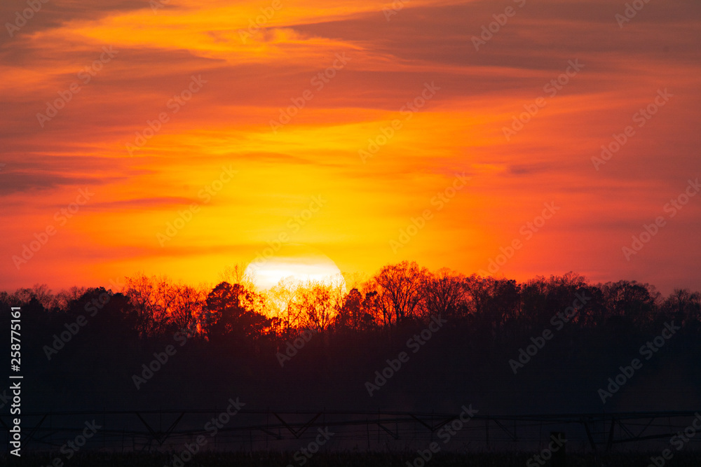 Fototapeta premium Hazy Albama Sunset