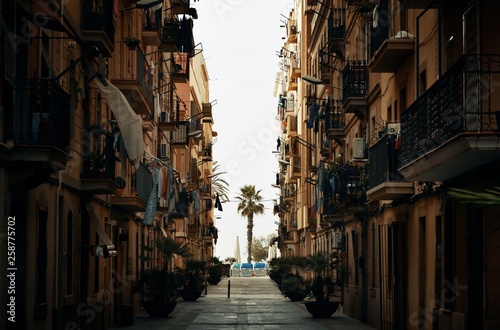 Barcelona Street view with tree