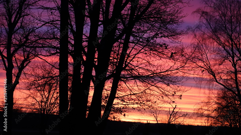 Fototapeta premium Sunset