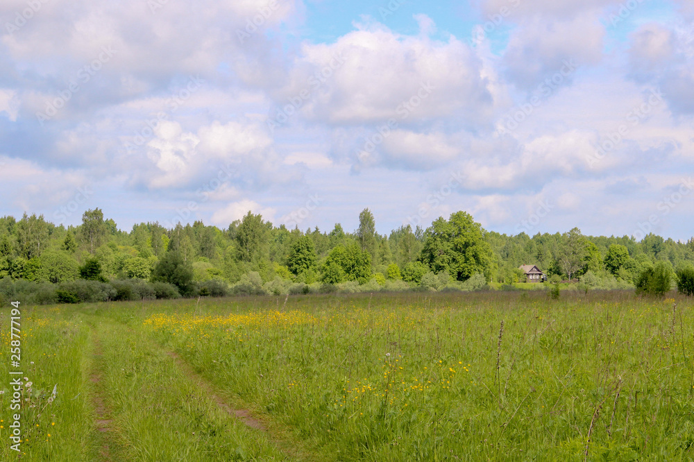 long road through green fields, perspective, distant farmhouse, blue sky. long road through green fields, perspective, distant farmhouse, blue sky.