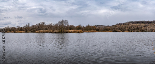 Fototapeta Naklejka Na Ścianę i Meble -  pond in the forest in early spring or late winter