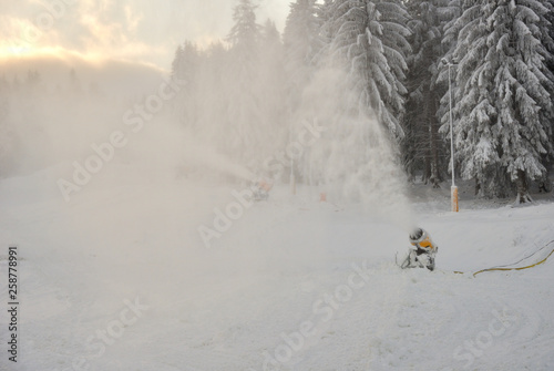 Preparation of ski slopes at beginning of winter in fir forest