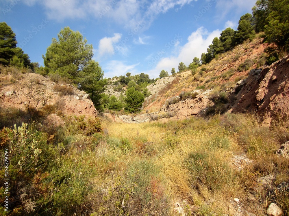 Mediterranean colours and vegetation