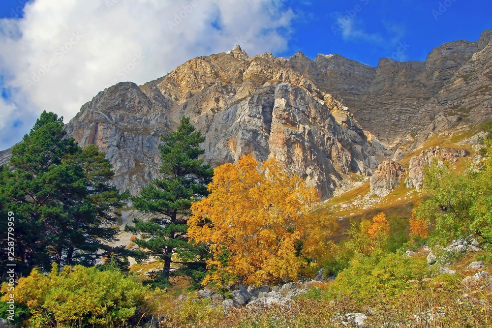 beautiful autumn landscape rocky mountains with autumn trees