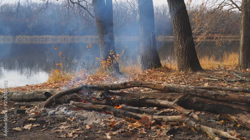 Burning campfire on the shore of an autumn forest lake. Camera panning Burning campfire on the shore of an autumn forest lake. Camera panning