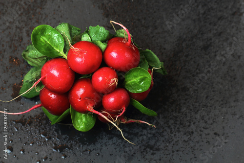 A bunch of fresh organic diet red radish with water drops on a black slate background with free copy space for text. Food for Vegetarians, photo for advertising vegetable shop