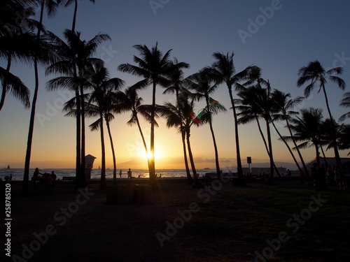 People watch and take photos of dramatic Sunset dropping behind the ocean through Coconut trees on Kaimana Beach