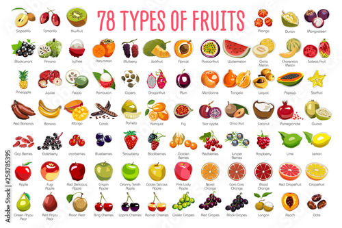 Fruits Icons – A huge set includes 78 types of colorful fruits with names. The icons were drawn in free hand and have thin gray line. Can be used for supermarket categories, for learning, as a poster.