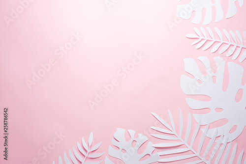 exotic leaves. pink and white leaves. Poster with design elements. Art background pink. Flat lay