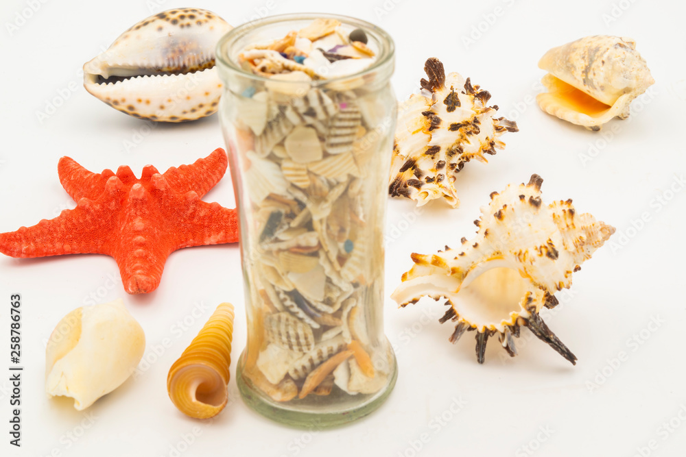 Starfish and seashells on the white table.