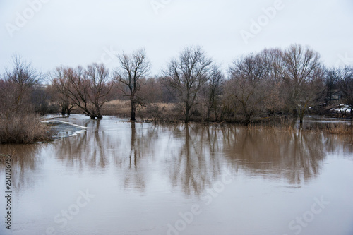 Sprin flood on river