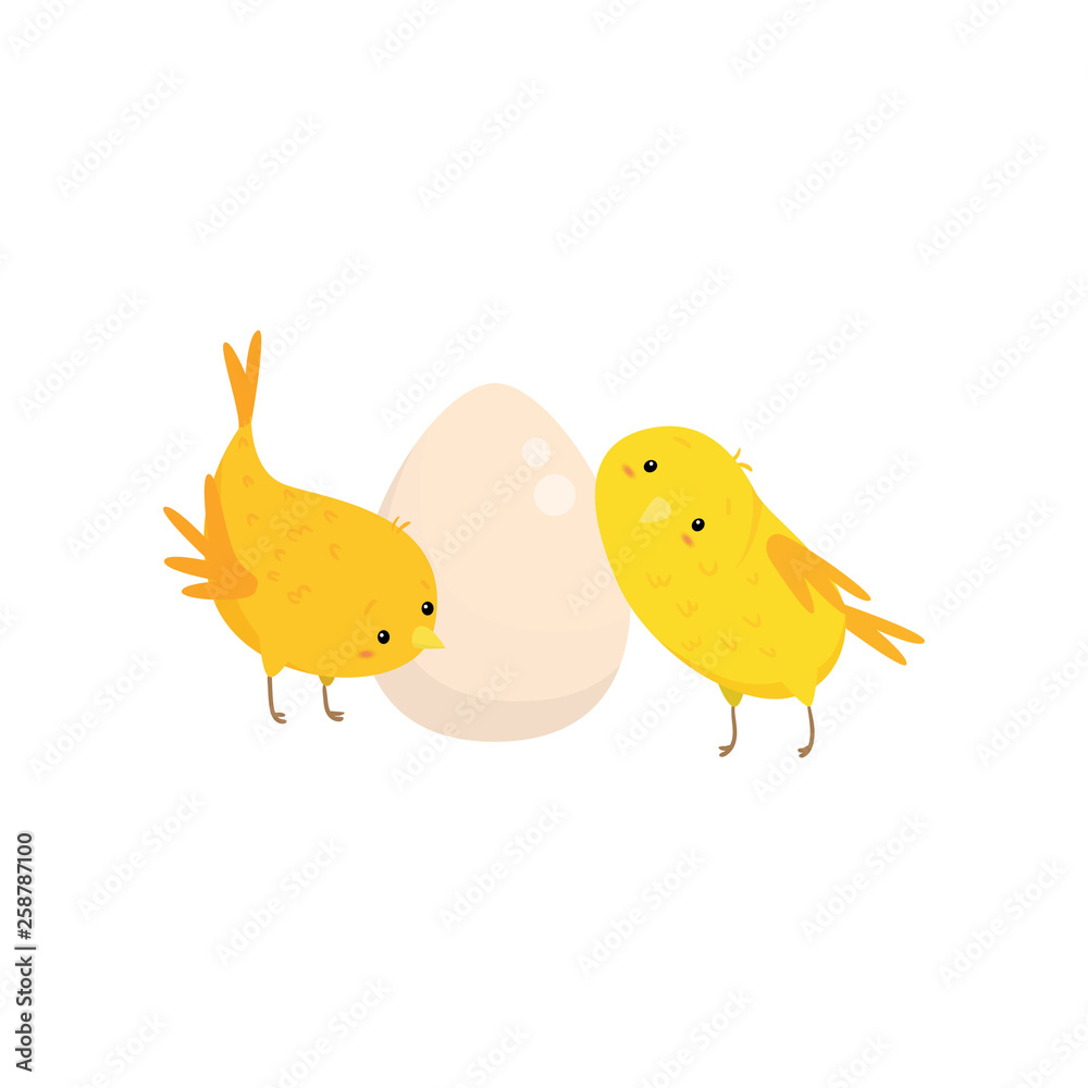 Two small chickens and egg isolated on white background