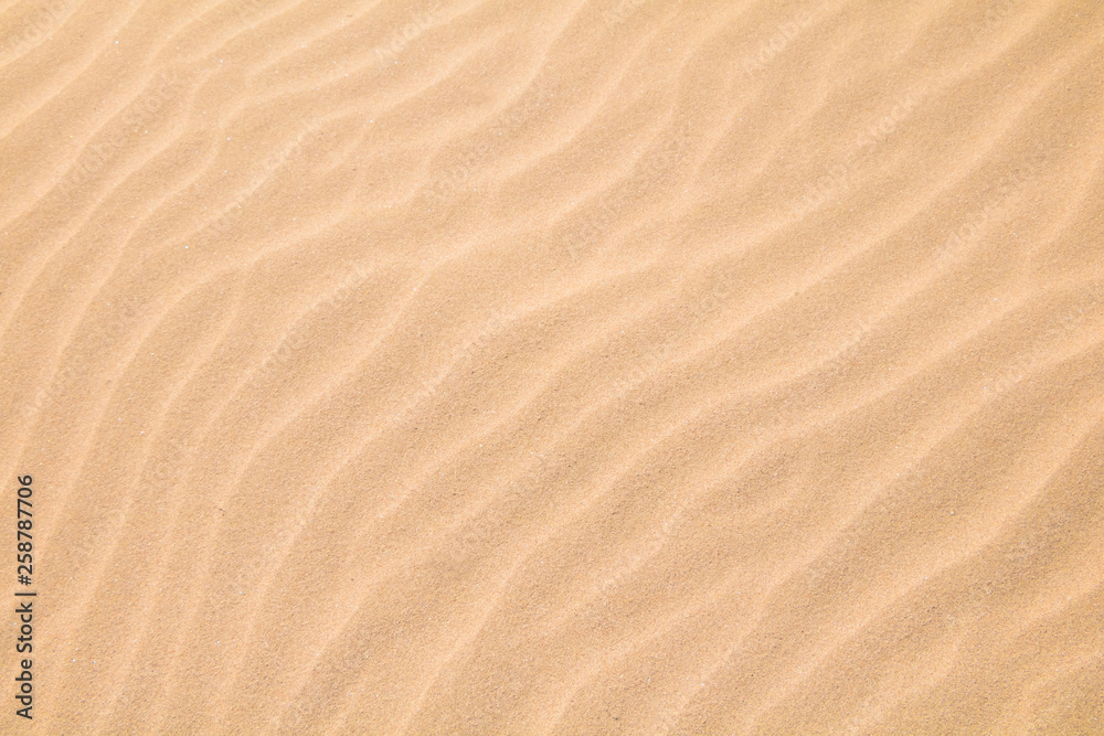 Beautiful Nature Sandy Summer Background Beautiful Nature Sandy Summer Background