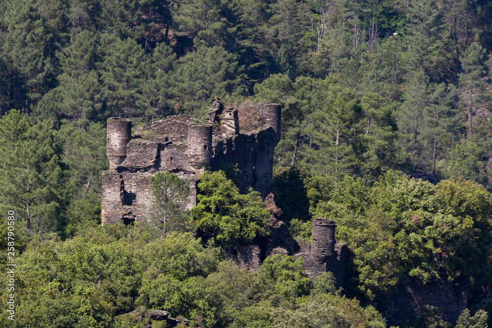 Château de Moissac