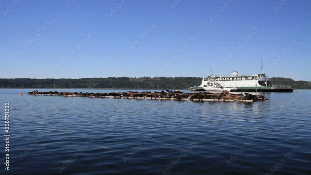 Ship in the Lake Beautiful shot of Tourist Boat in the Lake of Canada
