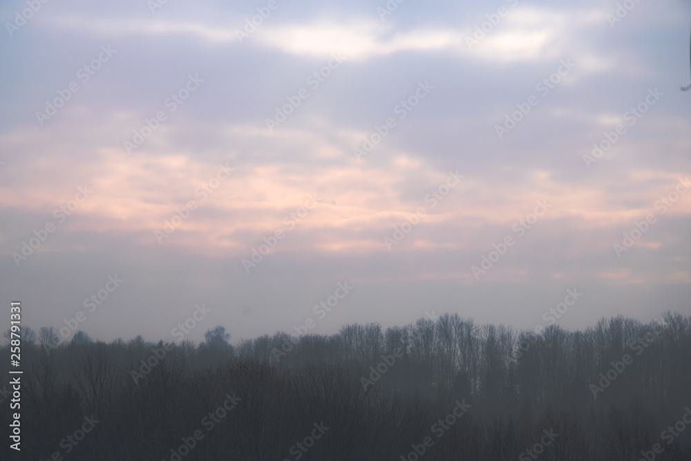 Heavy mist falling on a forest during sunset in winter