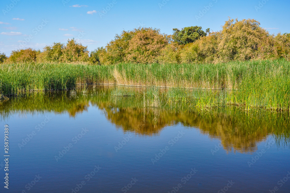 Tablas de Daimiel National Park is a wetland on the La Mancha plain, Ciudad Real, Spain. 