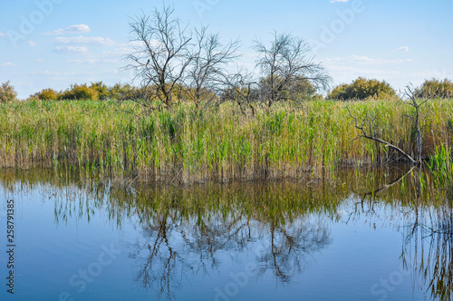 Tablas de Daimiel National Park is a wetland on the La Mancha plain, Ciudad Real, Spain. 