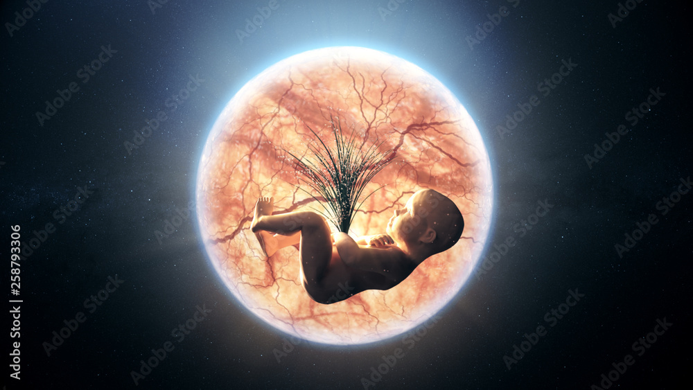 The composition of the baby in the womb of the planet earth in space. The concept of harmony between human and nature. Greenpeace 3d illustration