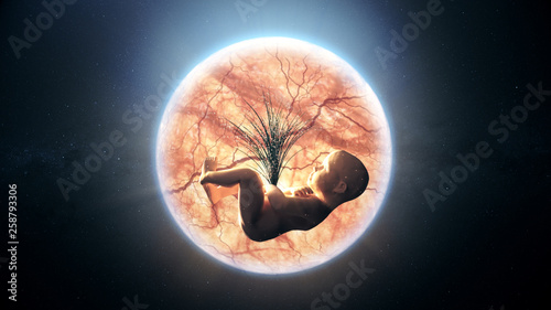 The composition of the baby in the womb of the planet earth in space. The concept of harmony between human and nature. Greenpeace 3d illustration photo