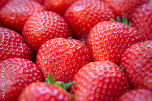 Close up view of dozen of fresh red strawberries. Delicious and juicy tasty fruit. Seen from the front view. Healthy fruit for diet. Beautiful wallpaper and background of fruit concept.