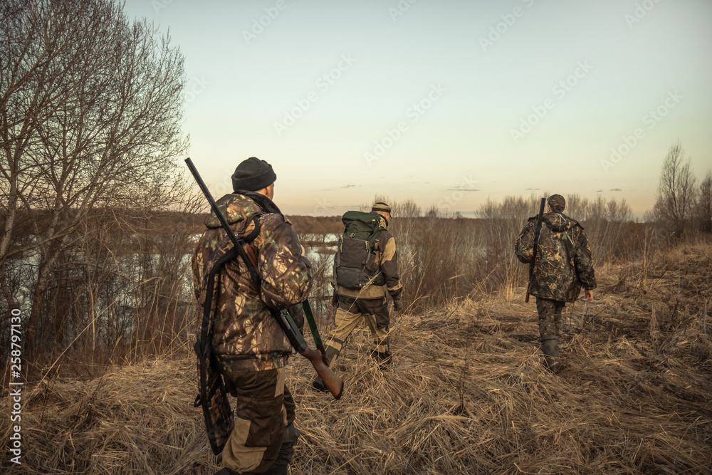 Hunting scene with group of hunters with hunting ammunition going through rural field during hunting season at sunset Hunting scene with group of hunters with hunting ammunition going through rural field during hunting season at sunset