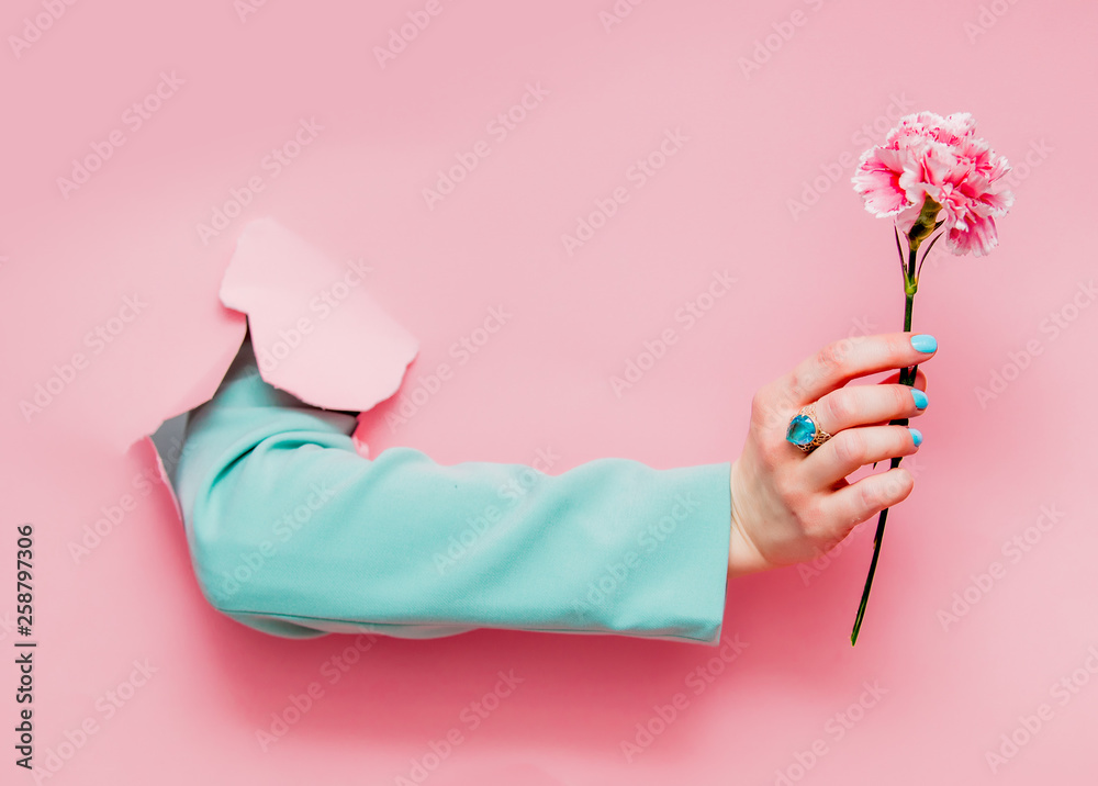 Female hand in classic blue jacket with carnation flower